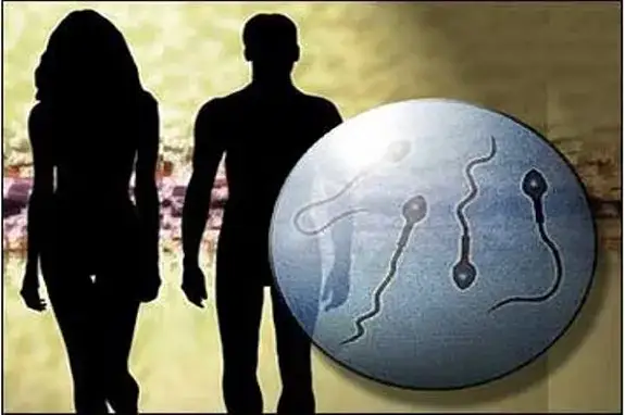 dk maieftirio ivf